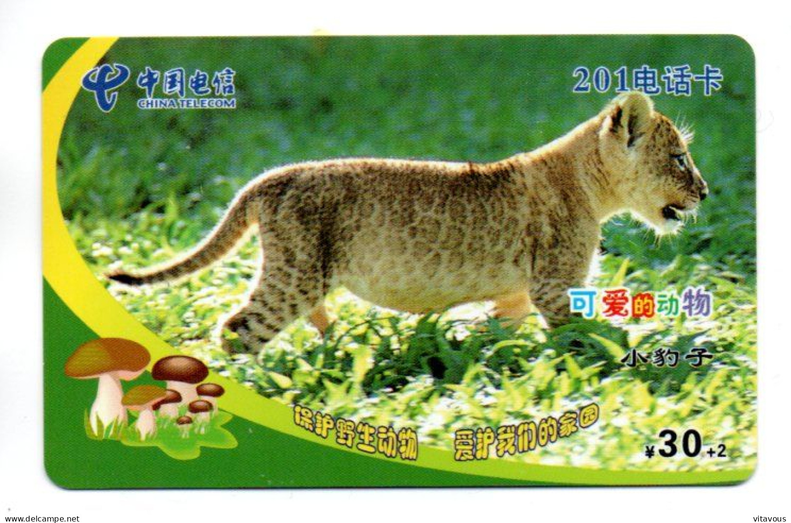 Tigre  Jungle Animal  Télécarte  Phonecard  Karte (K 345) - China