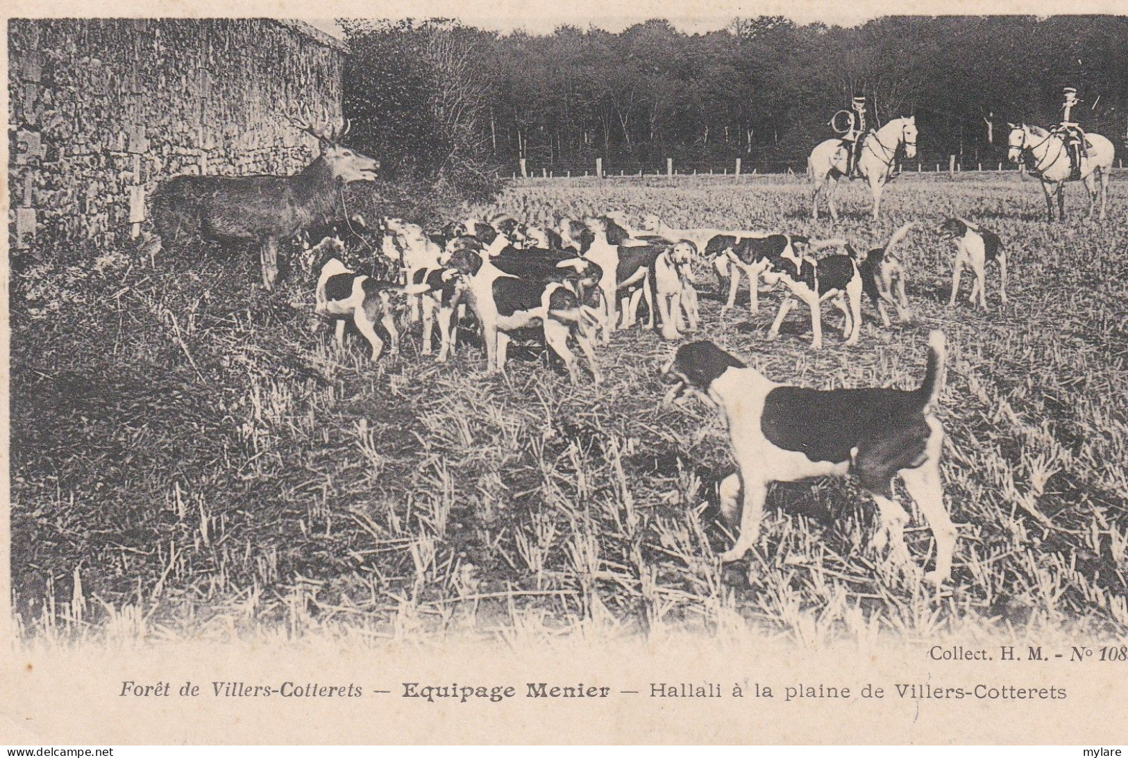 Cpa 02 Villers-Cotterets Equipage Mercier Hallali à La Plaine - Villers Cotterets