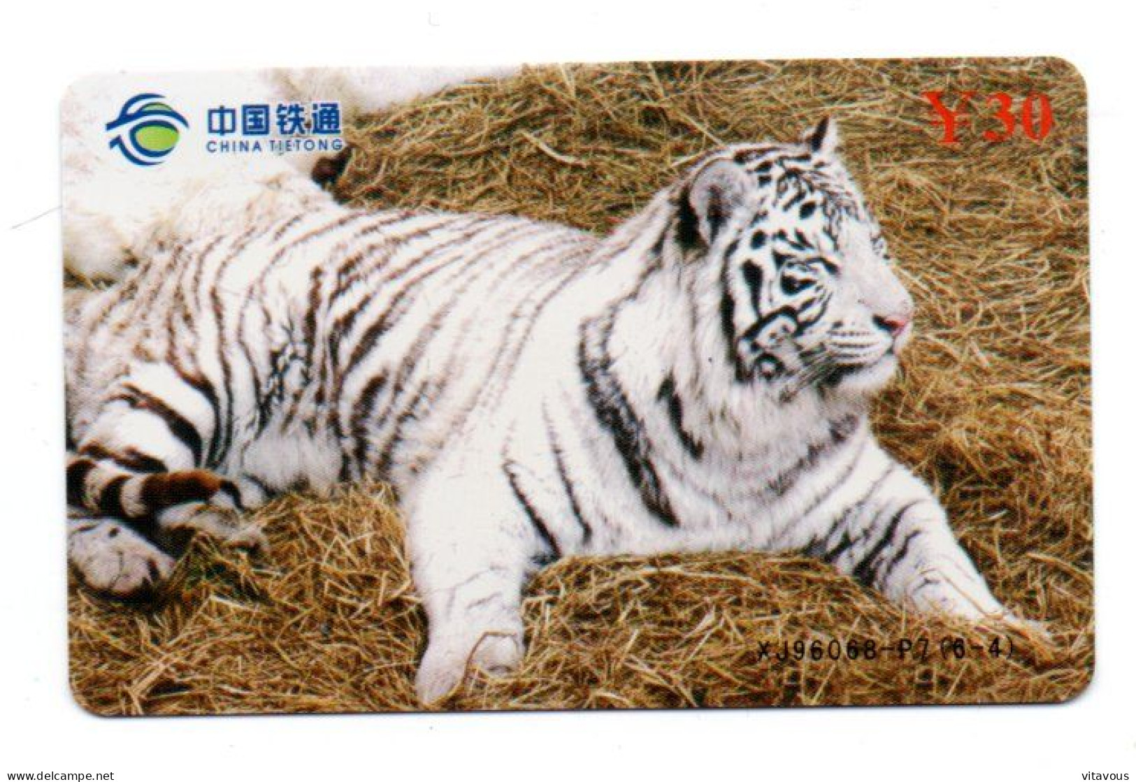 Tigre  Jungle Animal  Télécarte  Phonecard  Karte (K 347) - Cina