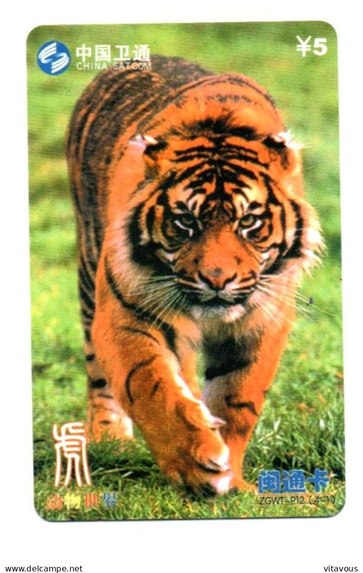 Tigre  Jungle Animal  Télécarte  Phonecard  Karte (K 348) - China