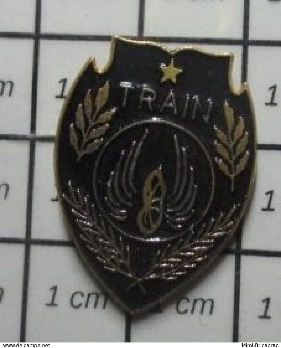 513F Pin's Pins / Beau Et Rare / MILITARIA / TRAIN ET ARRIERE-TRAIN ARME DE L'ARMEE DE TERRE - Militair & Leger