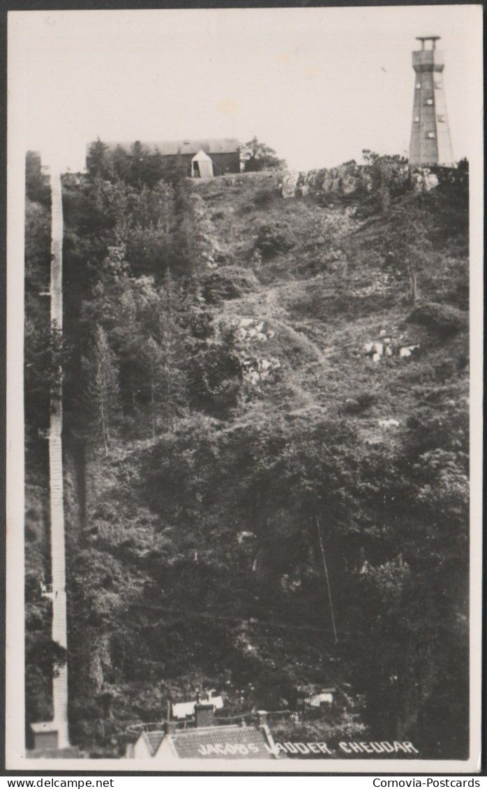 Jacob's Ladder, Cheddar, Somerset, C.1920s - Chapman RP Postcard - Cheddar