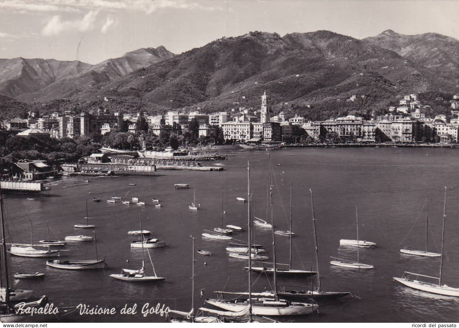 Cartolina Rapallo ( Genova ) Visione Del Golfo - Genova