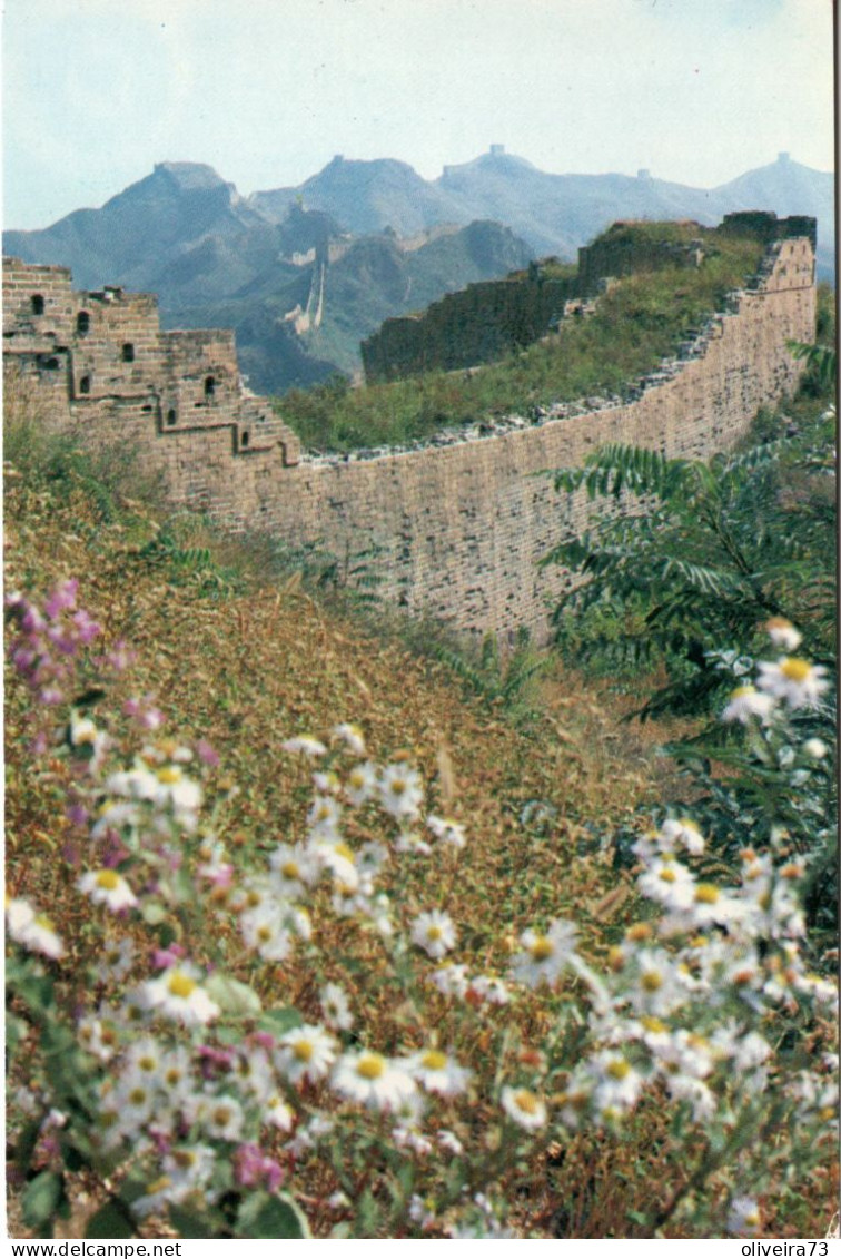 CHINA - Spring Scene Of The Great Wall - China