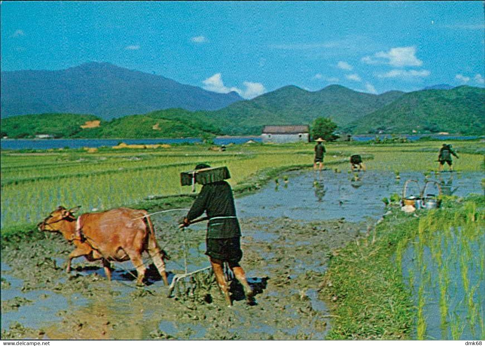 CHINA -  HONG KONG - 28 VINTAGE H.K. POSTCARDS + FOLDER - PUB. BY NATIONAL CO. 1970s (18372)