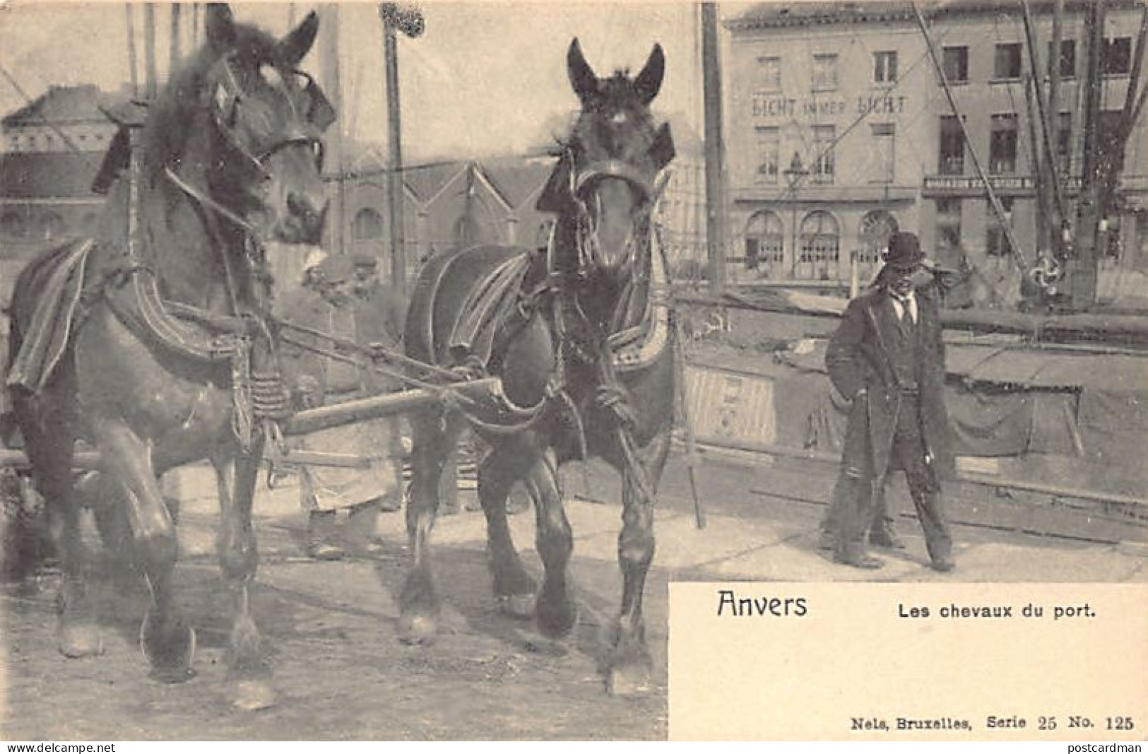 België - ANTWERPEN - Paarden Op De Haven - Uitg. Nels Serie 25 N. 125 - Antwerpen