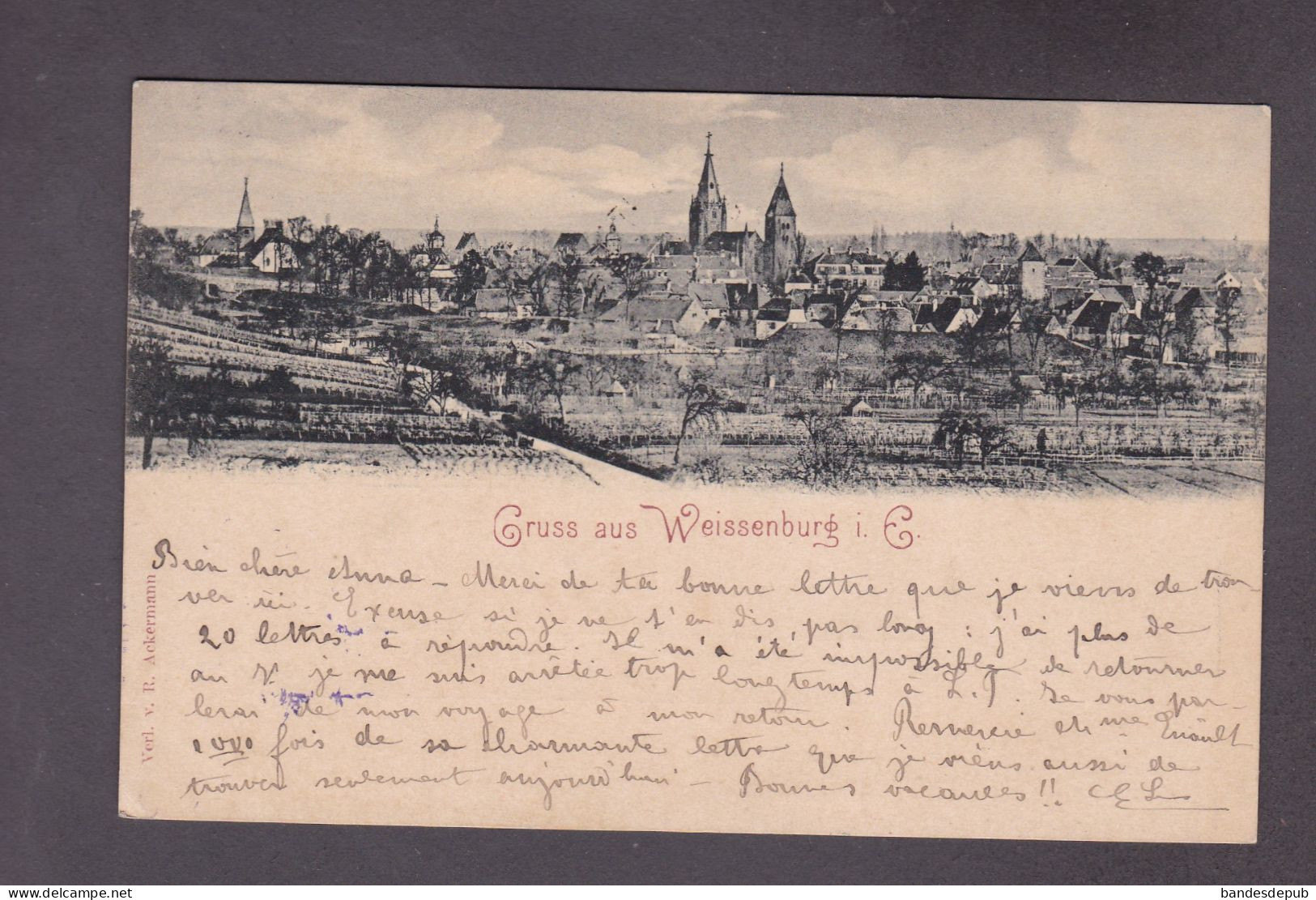 Vente Immediate Bas Rhin Wissembourg Gruss Aus Weissenburg  ( Vue Generale Cachet Emma Scheren Professeur Belfort 52992) - Wissembourg