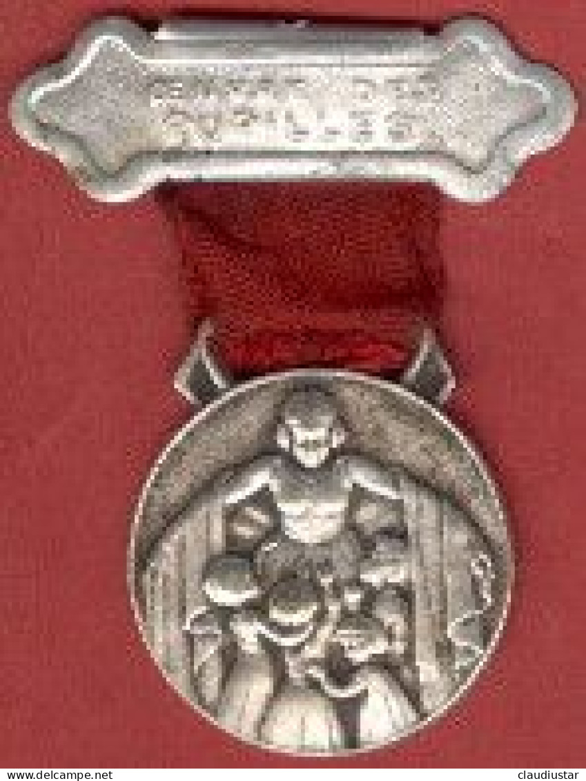 ** MEDAILLE  OEUVRE  Des  PUPILLES ** - Bomberos