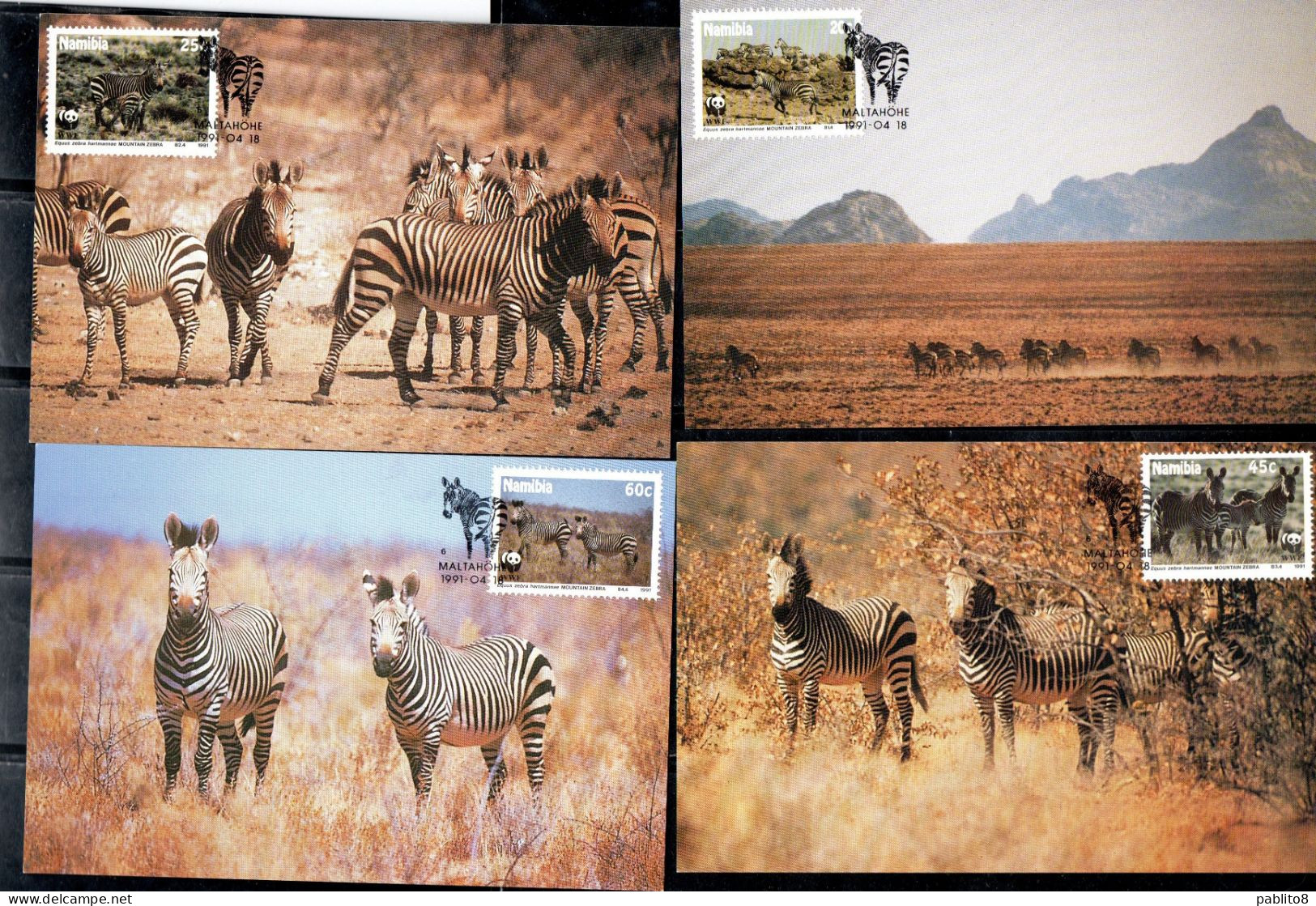 NAMIBIA 1991 WWF FAUNA ANIMALS ZEBRA ZEBRAS COMPLETE SET SERIE COMPLETA MAXI MAXIMUM CARD CARTE - Namibie (1990- ...)