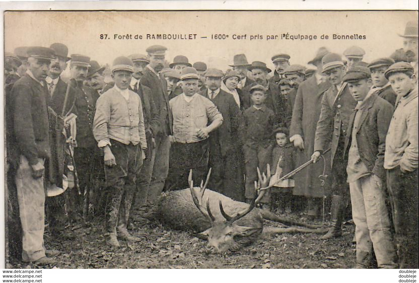 D78   RAMBOUILLET   Cerf Pris Par L'Équipage De Bonnelles - Rambouillet