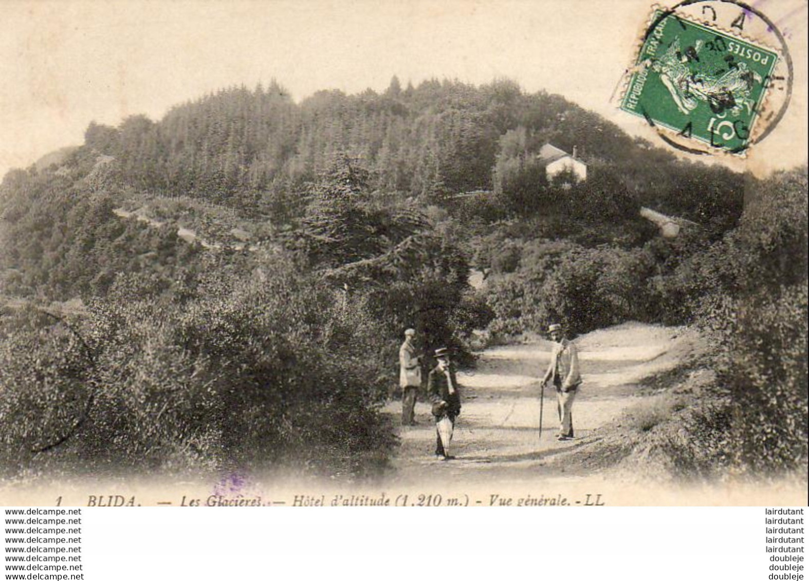 ALGERIE  BLIDA  Les Glaciers- Hôtel D' Altitude- Vue Générale   ..... - Blida