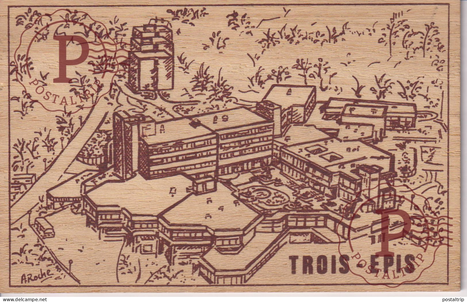 FRANCIA. FRANCE. TROIS EPIS. CENTRE MEDICAL NATIONAL. CARTE POSTALE EN BOIS. POSTAL DE MADERA. WOODEN POSTCARD - Trois-Epis