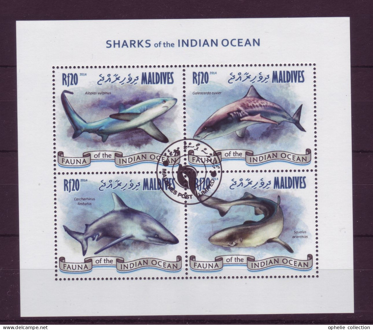 Asie - Maldives - 2017 - BLF - Sharks Of The Indian Ocean - 7255 - Maldives (1965-...)