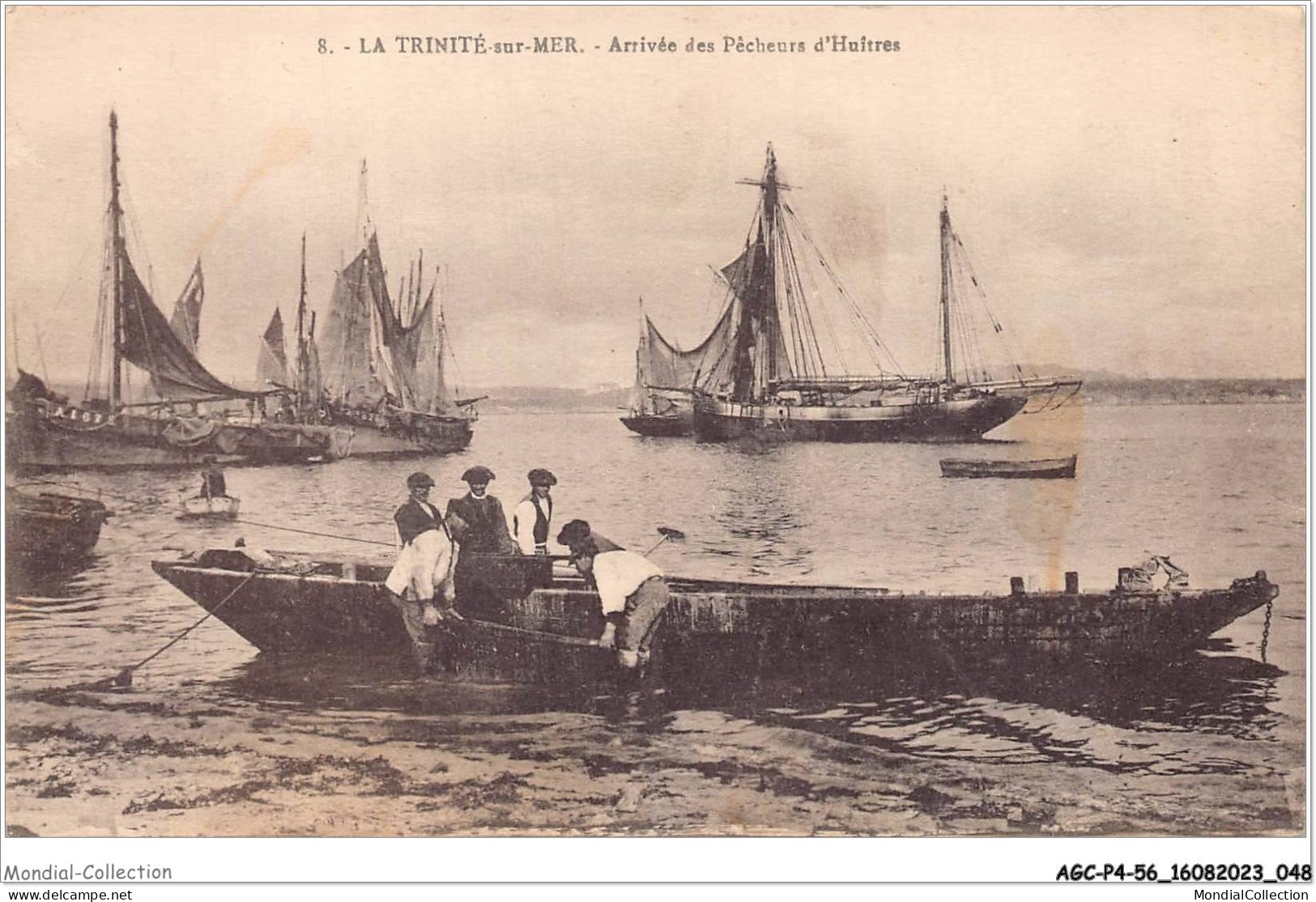 AGCP4-56-0293 - LA TRINITE-SUR-MER - Arrivee Des Pecheurs D'huitres - La Trinite Sur Mer