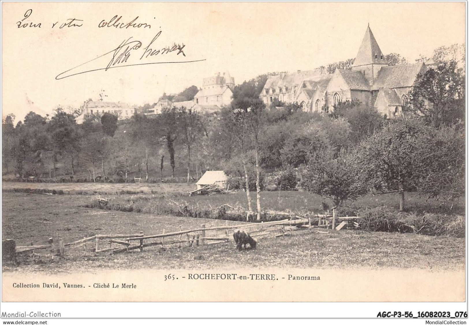 AGCP3-56-0225 - ROCHEFORT-EN-TERRE - Panorama - Rochefort En Terre