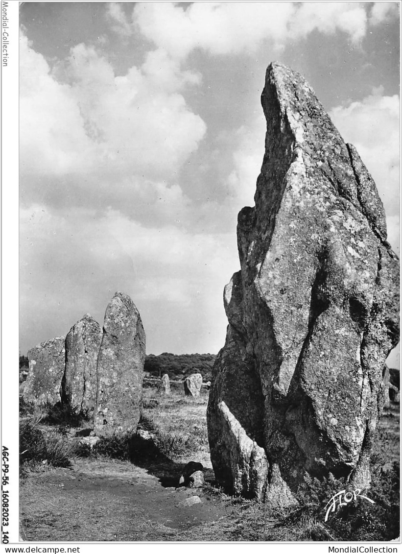 AGCP9-56-0776 - CARNAC - Alignements De Menhirs De Kermario - Carnac