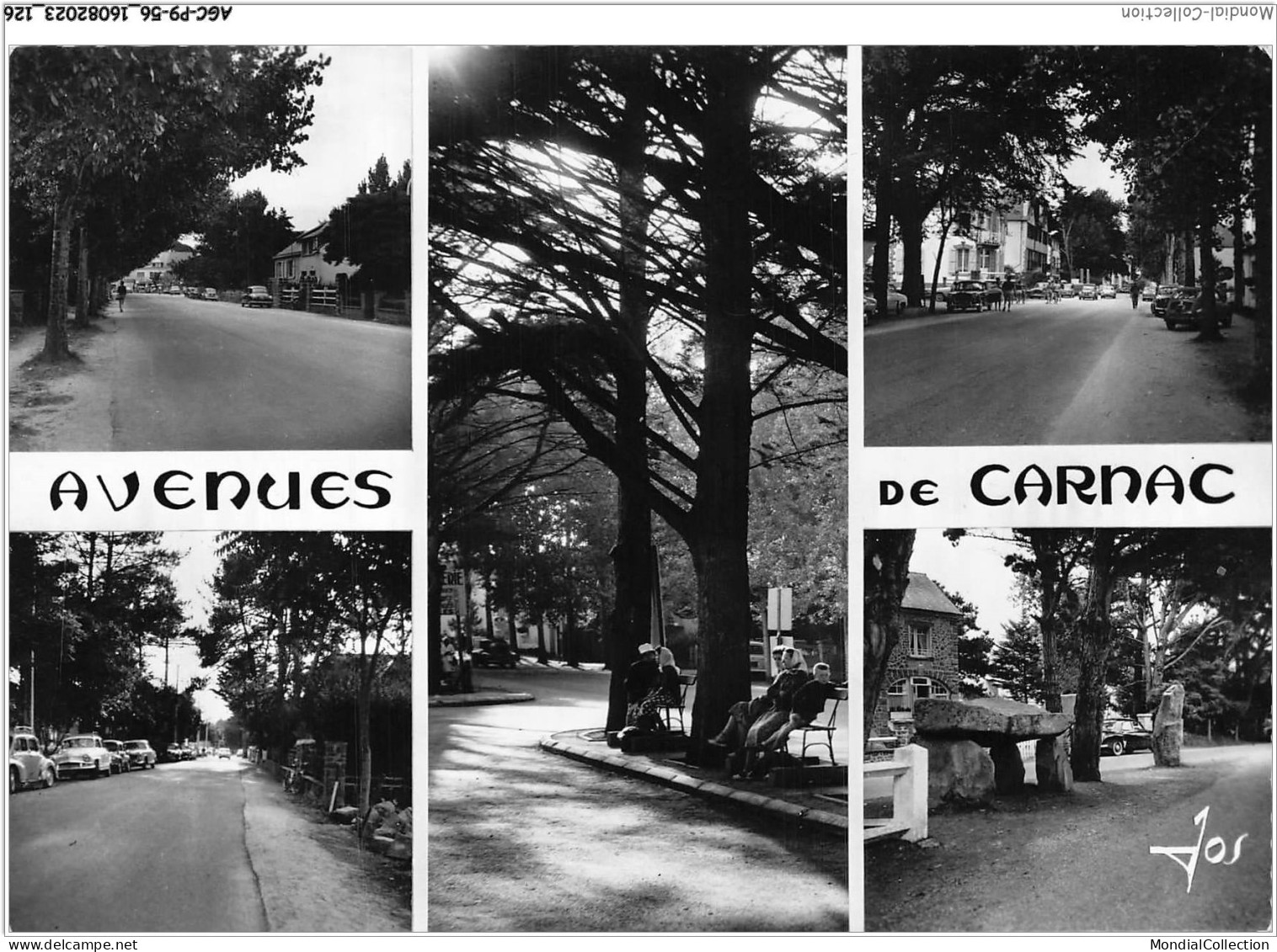 AGCP9-56-0769 - Avenue De CARNAC  - Carnac