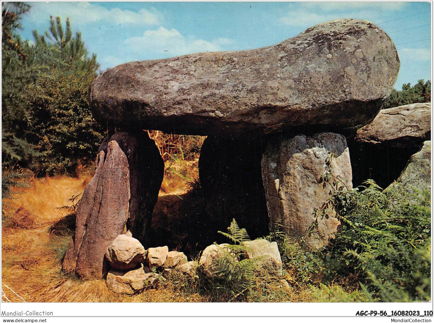 AGCP9-56-0761 - CARNAC - Dolmen De Mane-Kerioned - Carnac