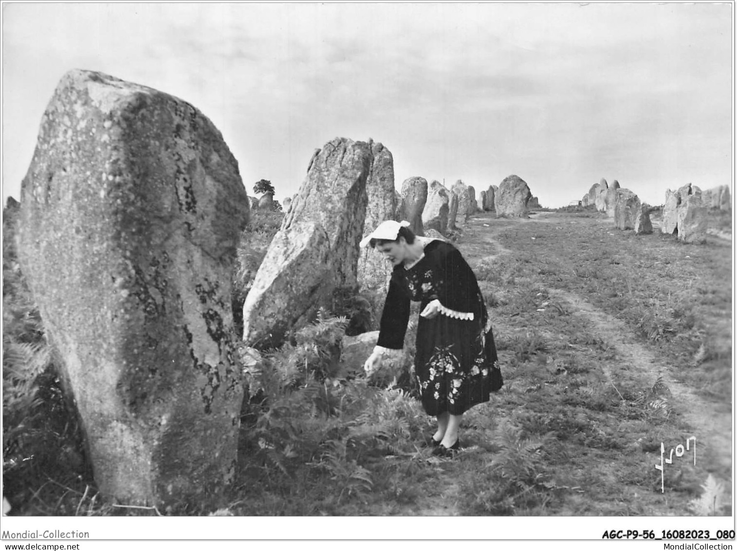 AGCP9-56-0746 - CARNAC - Les Alignements De KERMARIO - Carnac