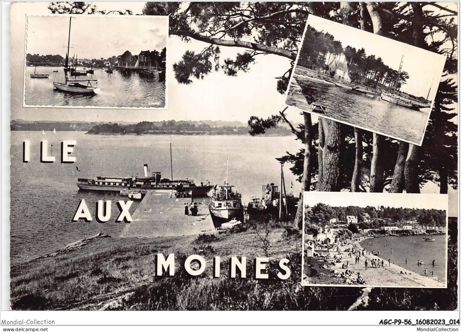 AGCP9-56-0713 - ILE-AUX-MOINES - Le Port Et Le Bois D'amour - Le Debarcadere - La Flotte - Ile Aux Moines