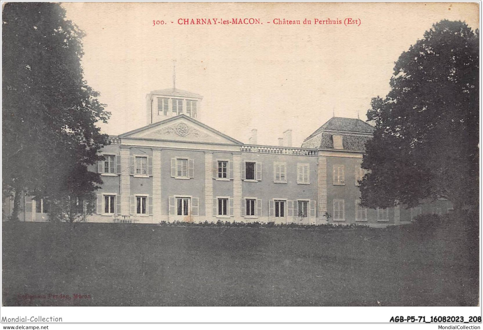 AGBP5-51-0454 - CHARNAY-LES-MACON - Chateau De Perthuis  - Macon
