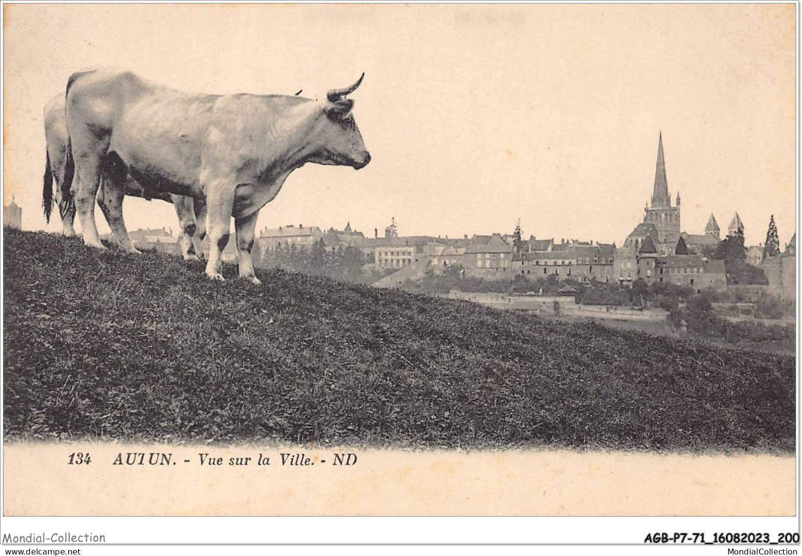 AGBP7-71-0664 - AUTUN - Vue Sur La Ville  - Autun