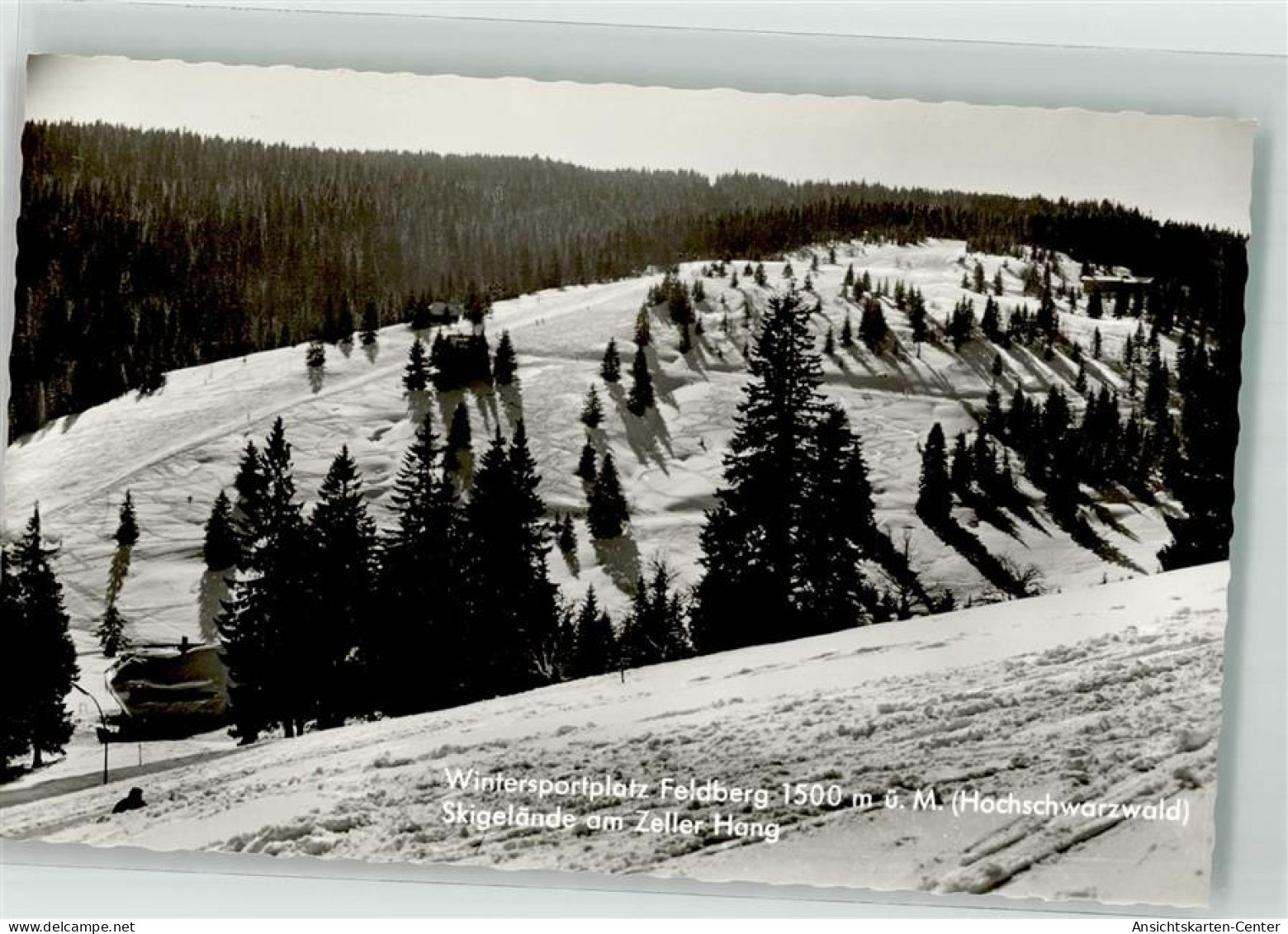 39771907 - Feldberg , Schwarzwald - Feldberg