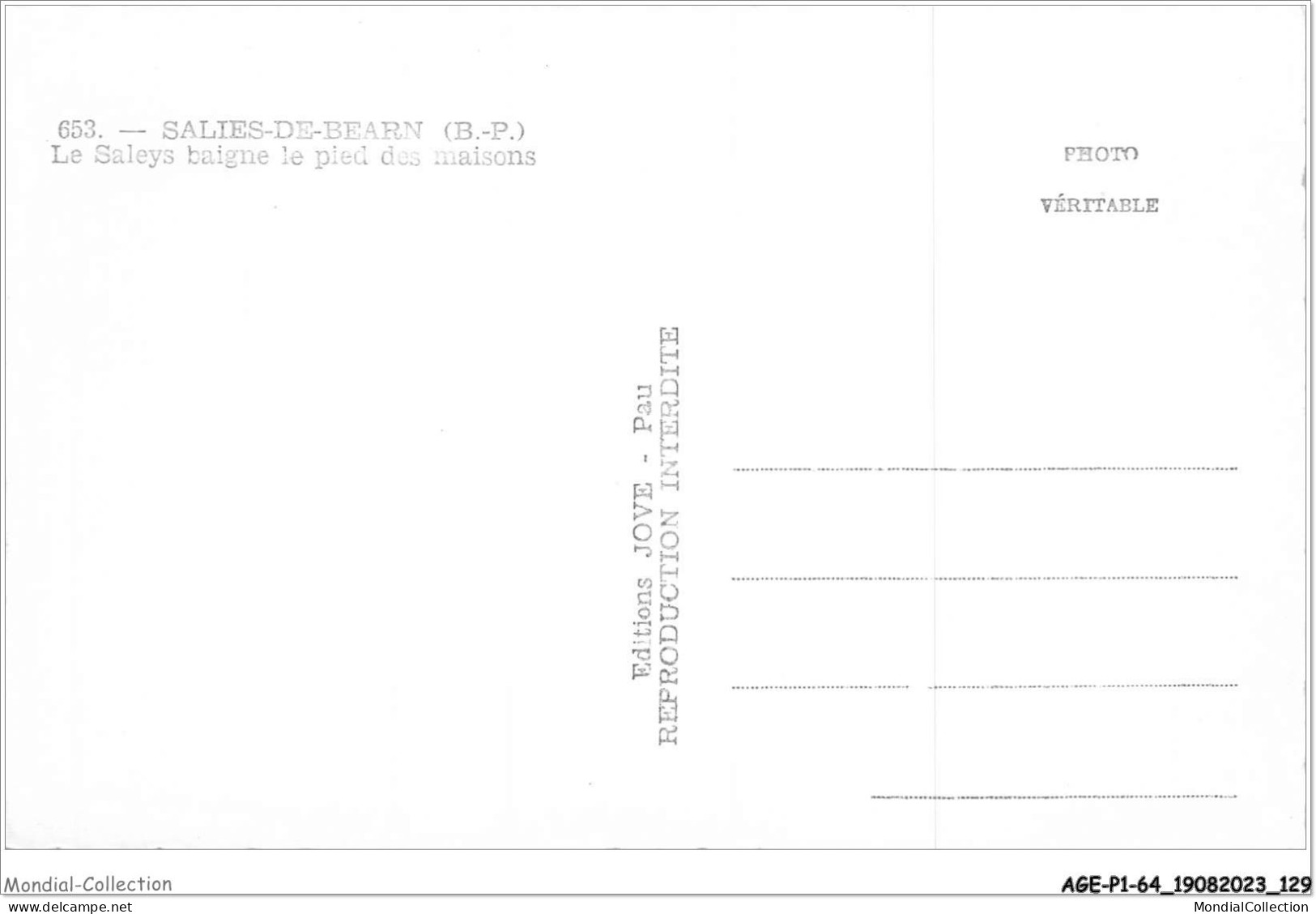 AGEP1-64-0065 - SALIES-DE-BEARN - Le Saleys Baigne Le Pied Des Maisons - Salies De Bearn