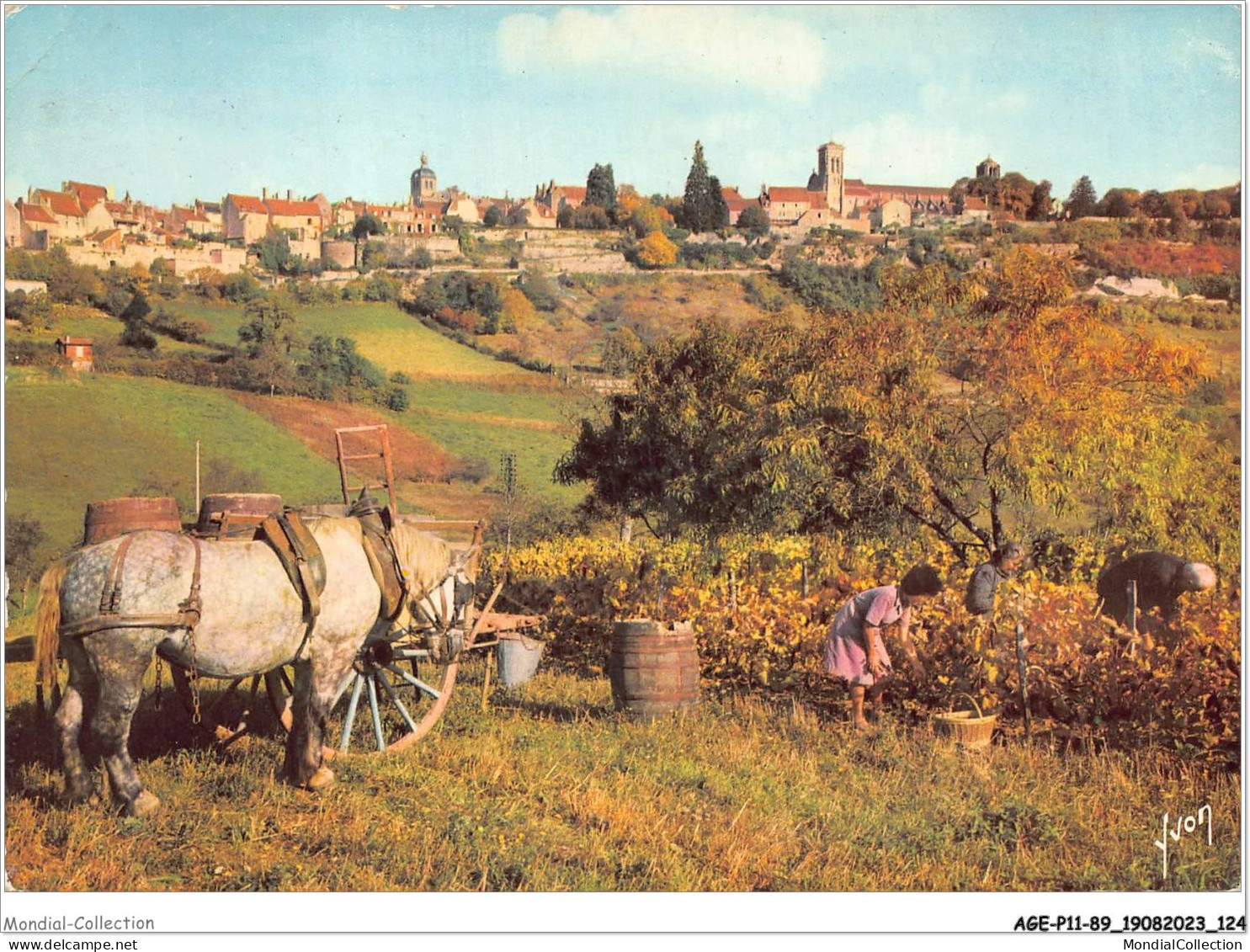 AGEP11-89-0998 - Couleurs Et Lumière De France - VEZELAY - Yonne - Vue Générale - Vezelay