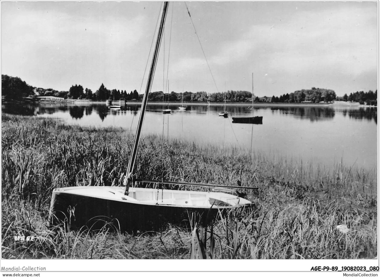 AGEP9-89-0853 - SAINT-FARGEAU - Yonne - Réservoir Du Bourdon Vu De Bailly - Saint Fargeau