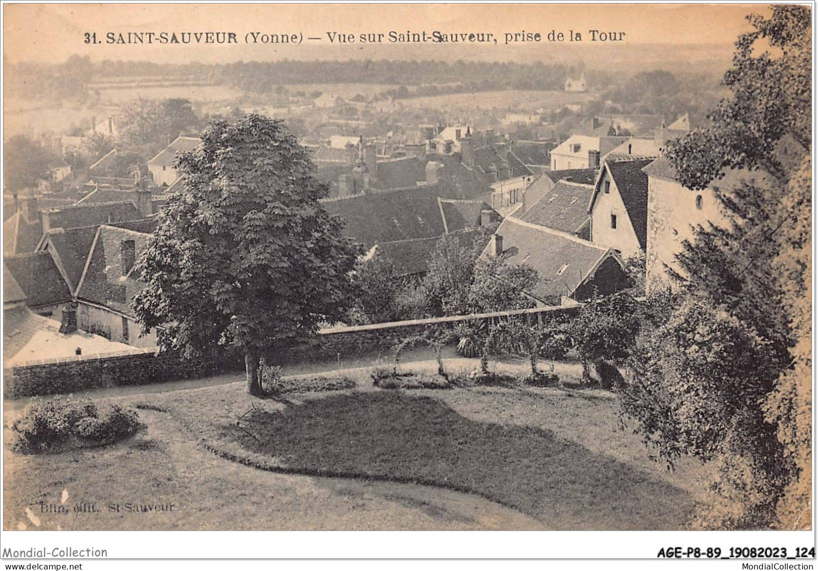 AGEP8-89-0747 - SAINT-SAUVEUR - Yonne - Vue Sur Saint-sauveur - Prise De La Tour - Saint Sauveur En Puisaye