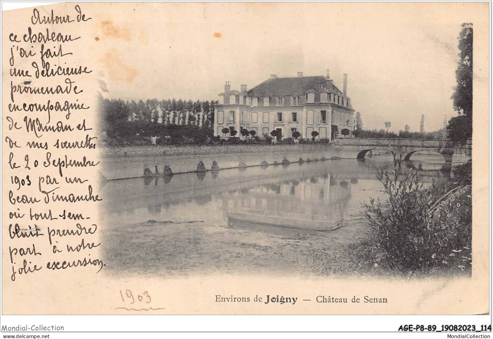 AGEP8-89-0742 - Environs De - JOIGNY - Chateau De Senan - Joigny