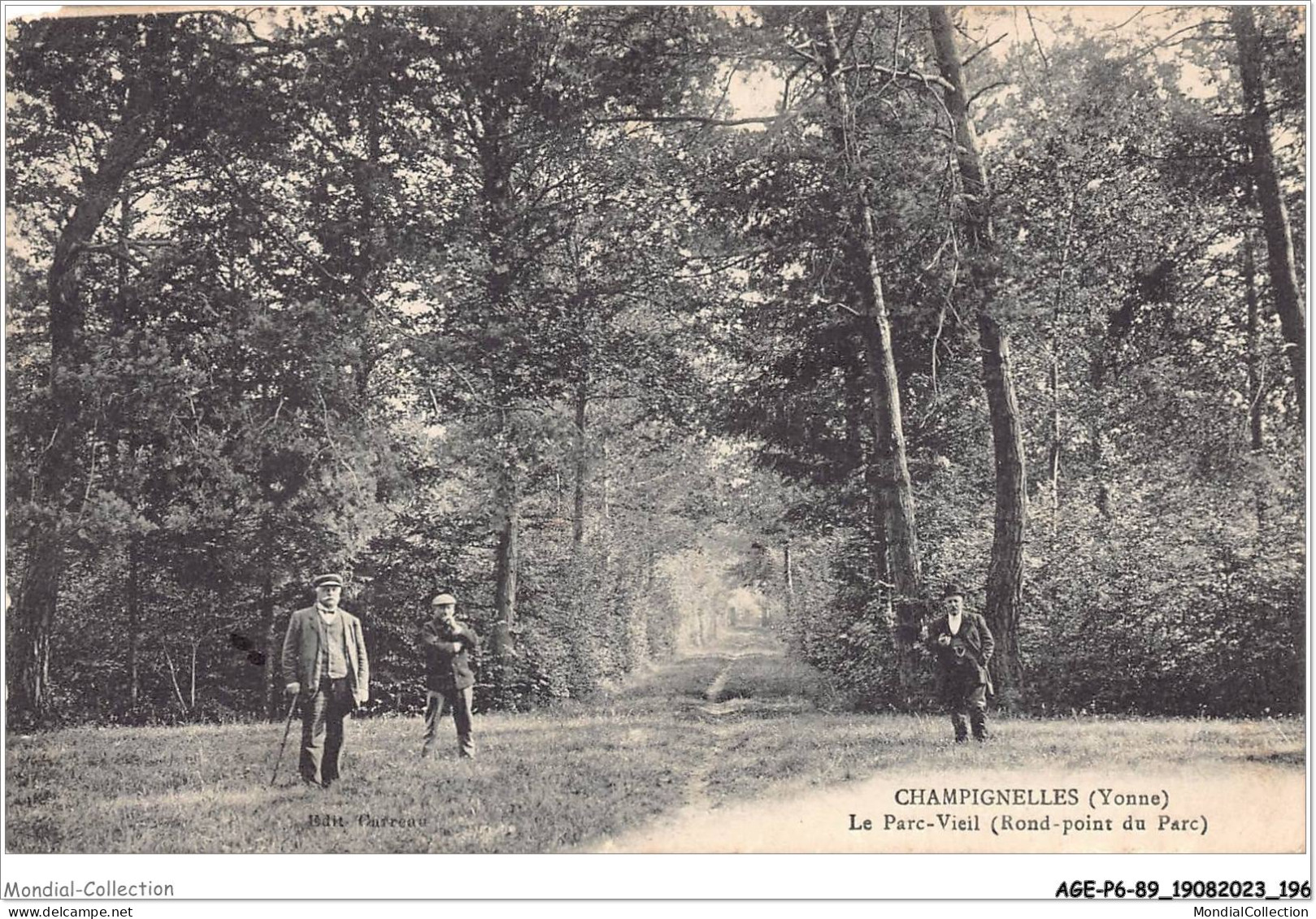AGEP6-89-0579 - CHAMPIGNELLES - Yonne - Le Parc-vieil - Rond-point Du Parc - Auxerre