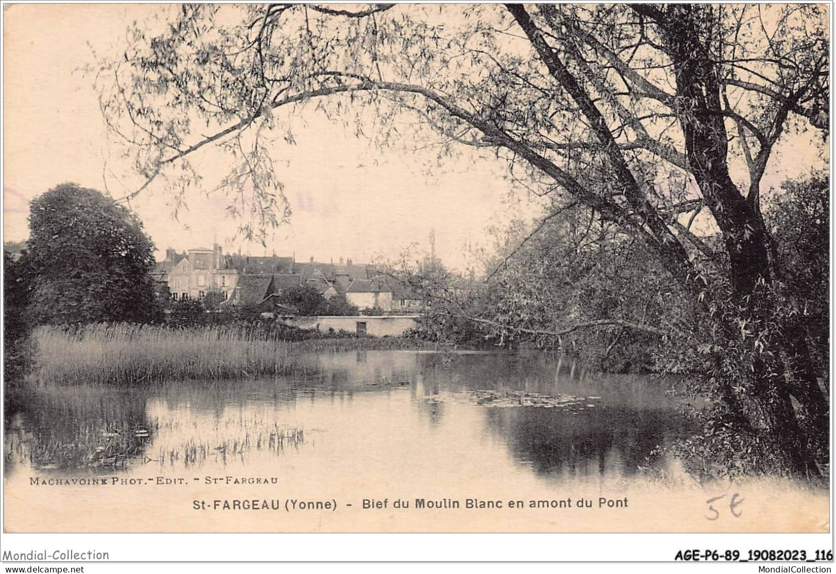 AGEP6-89-0539 - ST-FARGEAU - Yonne - Bief Du Moulin Blanc En Amont Du Pont - Saint Fargeau