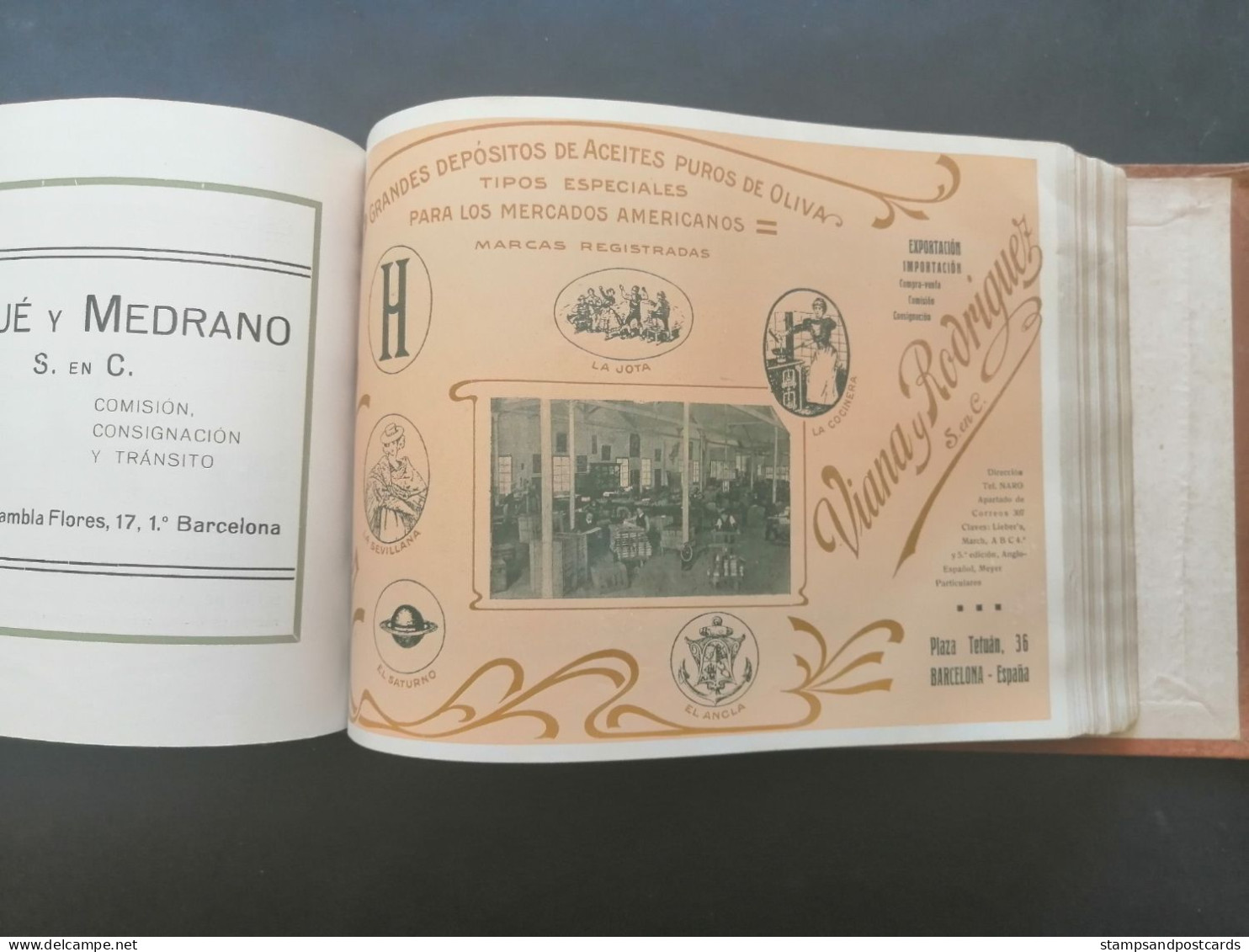 Compañía Trasatlántica Libro de información 1920 Barcelona Catalonia España Spain shipping company handbook Paquebot