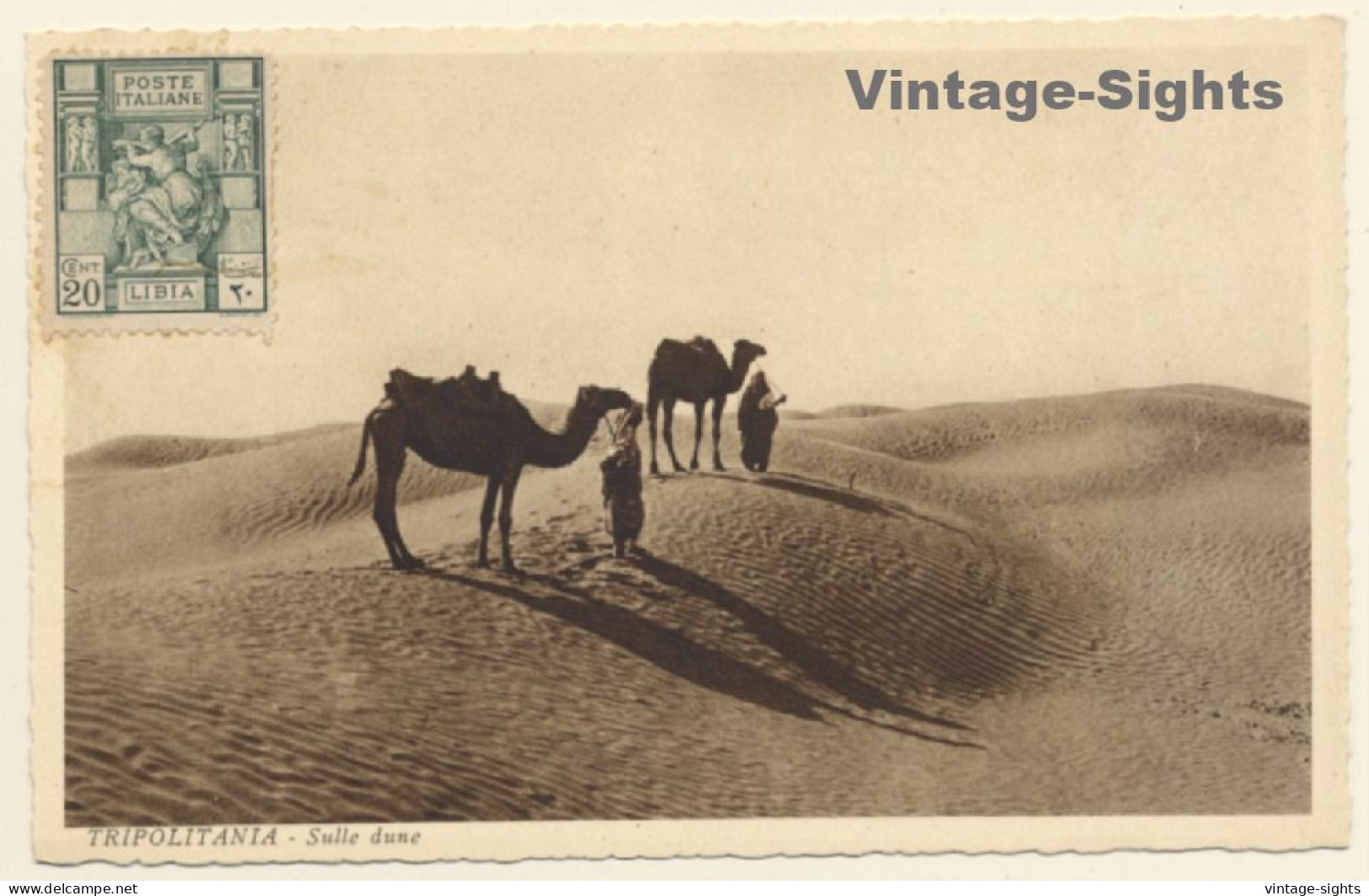 Tripolitania / Ex Italian Colony: Camel Caravan In Desert (Vintage PC 1910s/1920s) - Libyen