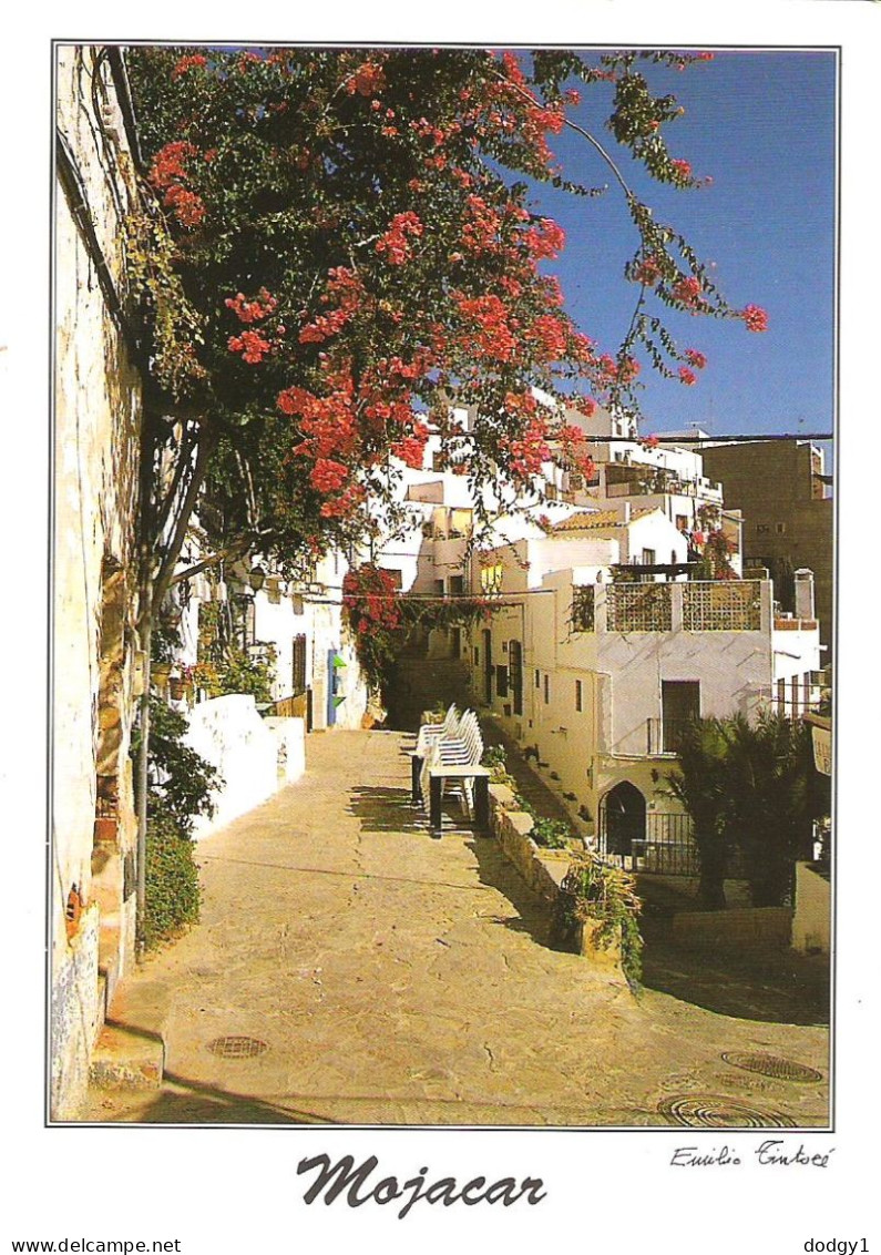 MOJACAR, ANDALUCIA, SPAIN. USED POSTCARD My2 - Almería