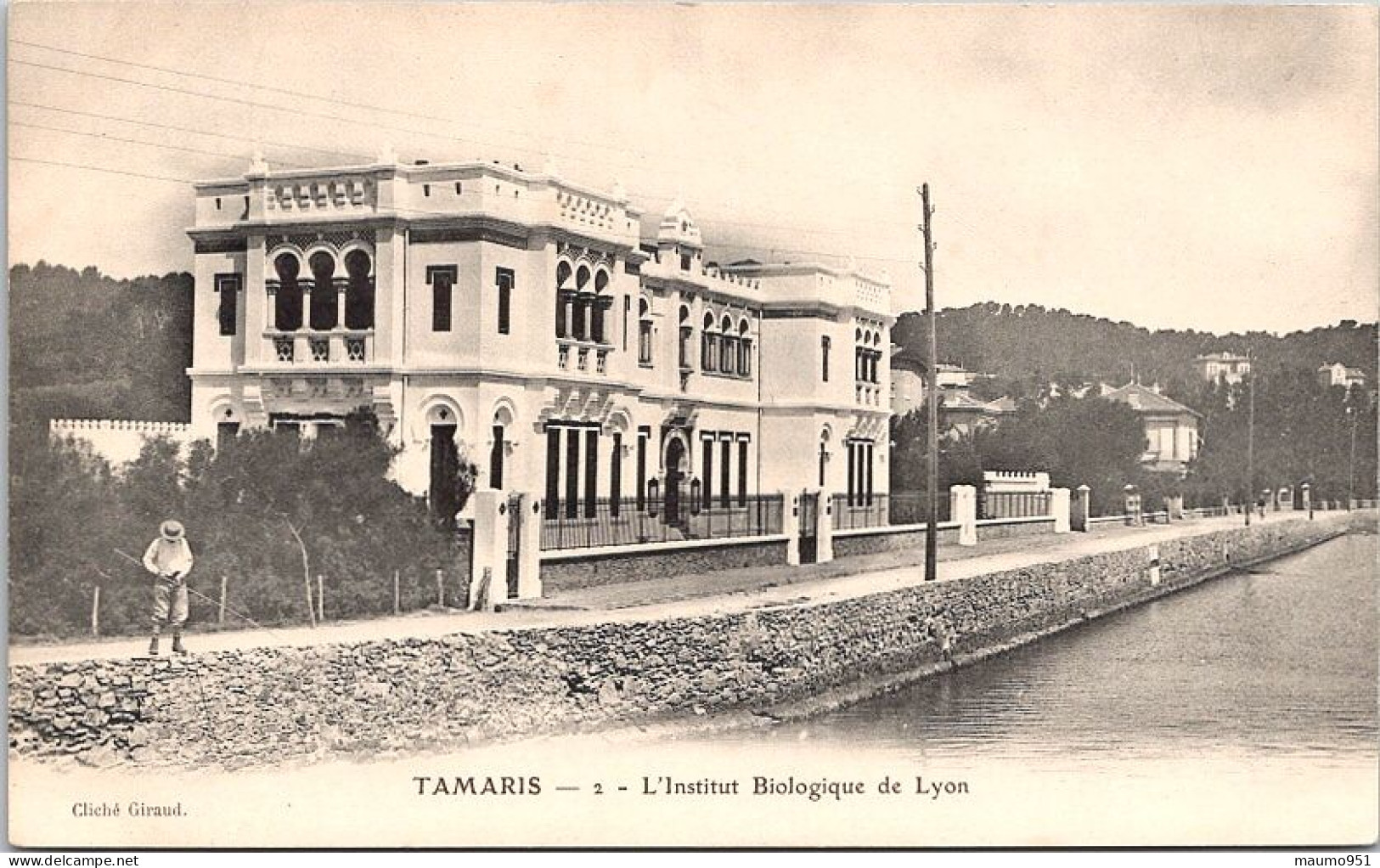 83 TAMARIS - L'Institut Biologiquede Lyon - Tamaris