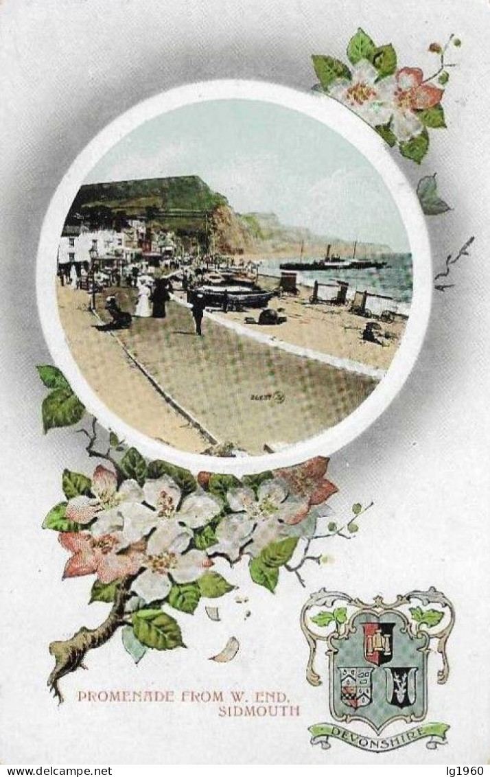SIDMOUTH - Promenade From W. End - 1915 - Card In Very Good Condition! - Andere & Zonder Classificatie