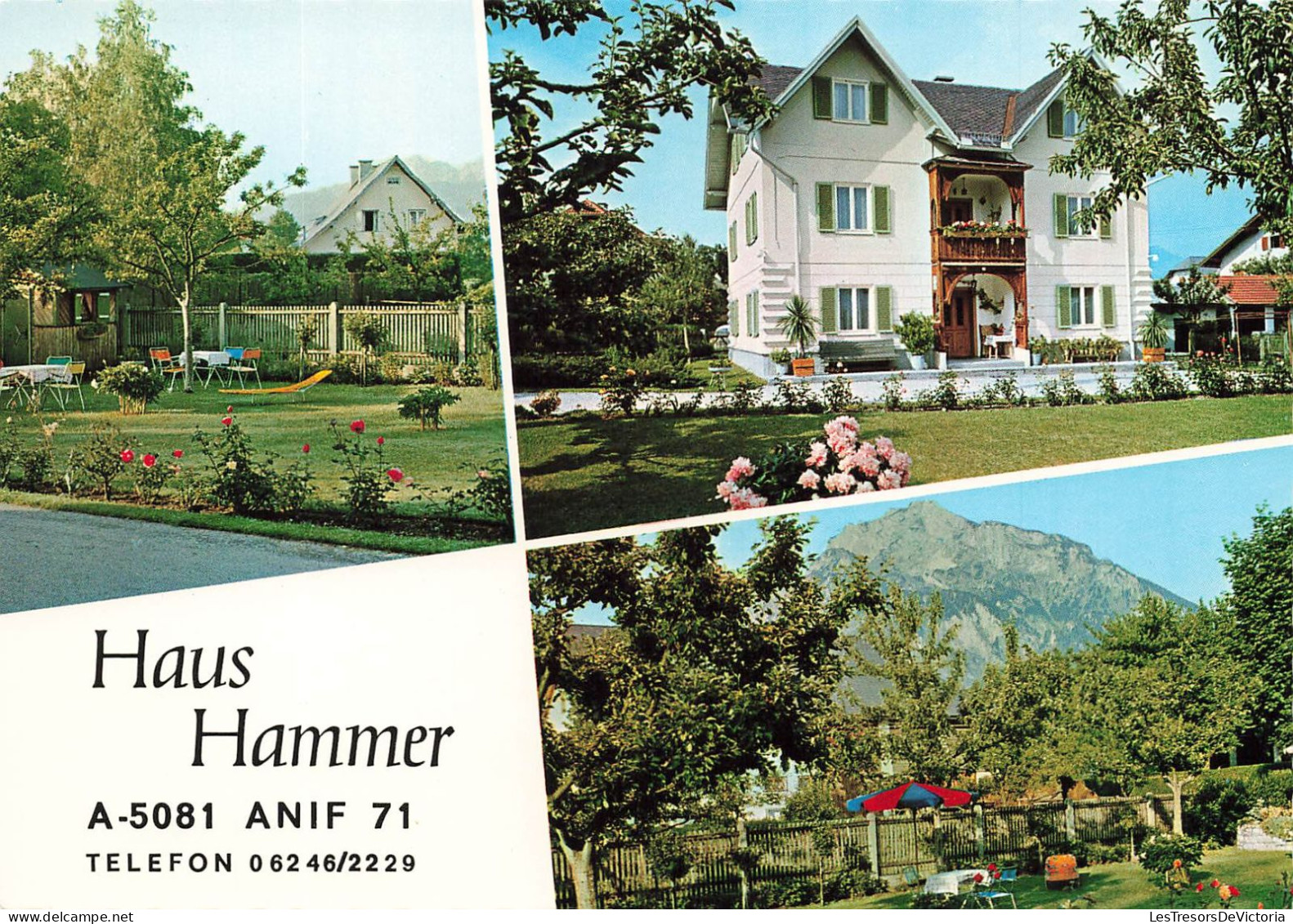 AUTRICHE - Haus Hammer - Ruhige Lage - Kalt Und Warmwasser - 7 Km Sudlich Von Salzburg - Carte Postale - Autres & Non Classés