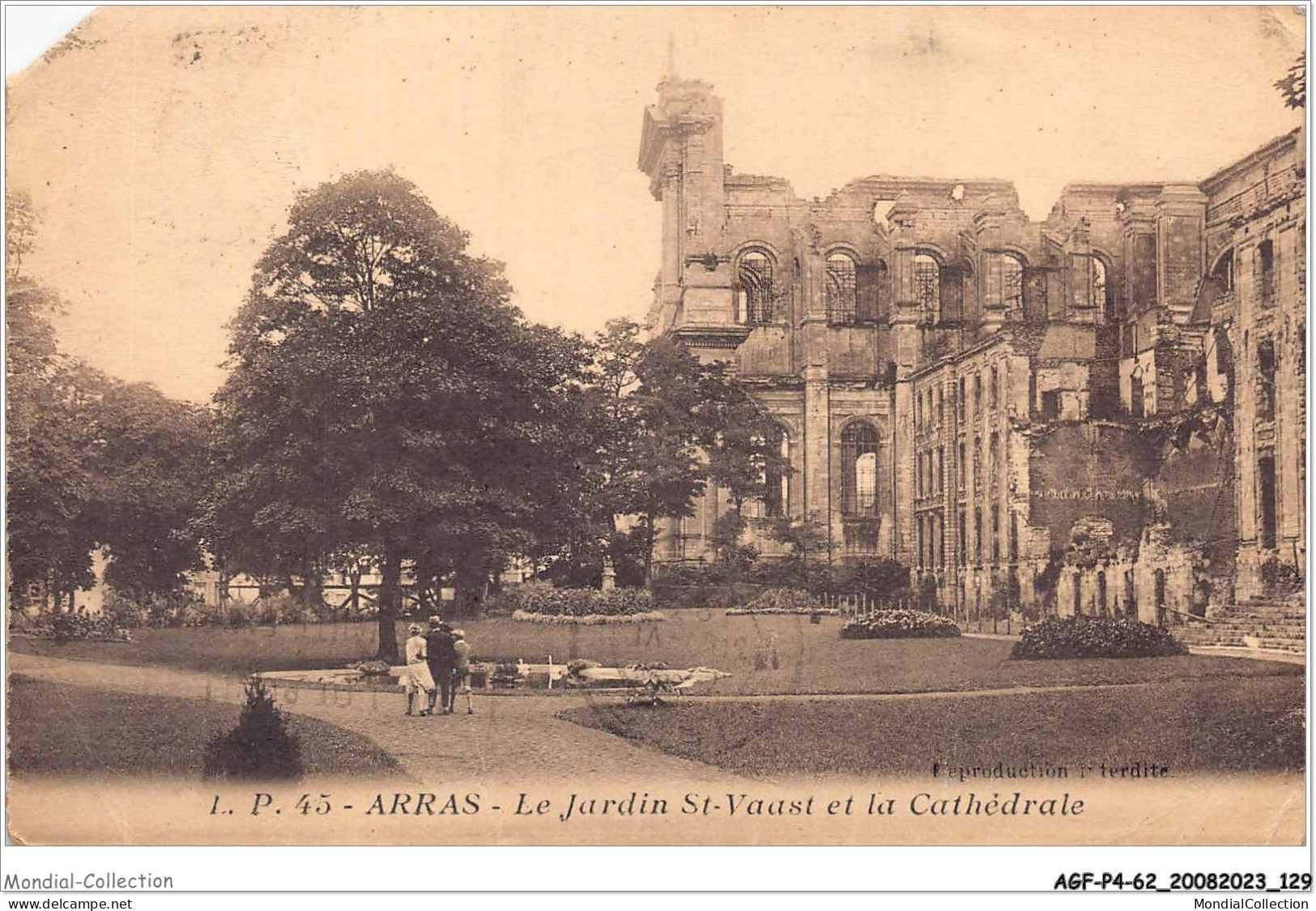 AGFP4-62-0358 - ARRAS - Le Jardin St-vaast Et La Cathédrale  - Arras