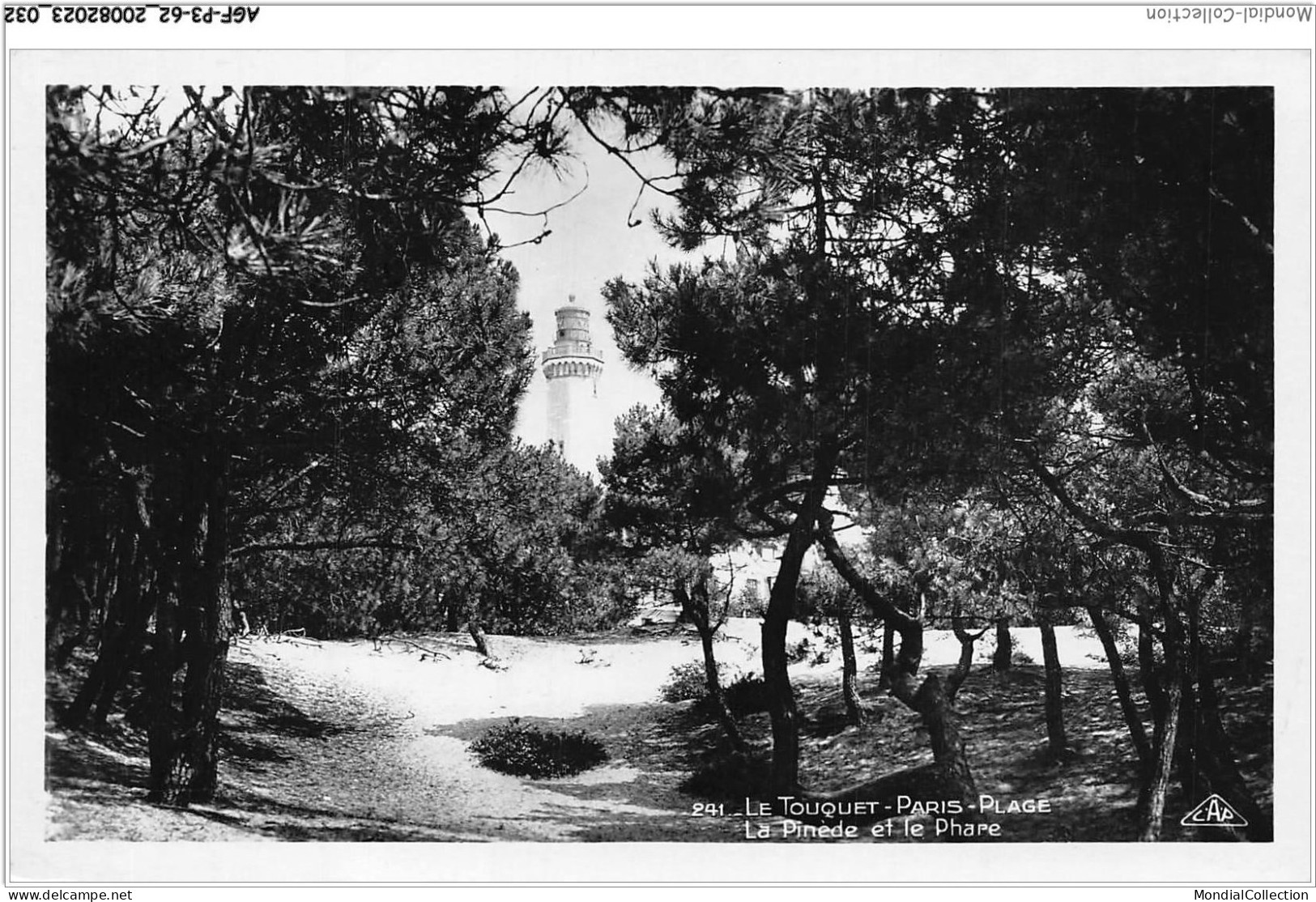 AGFP3-62-0219 - LE TOUQUET PARIS-PLAGE - La Pinède Et Le Phare  - Le Touquet