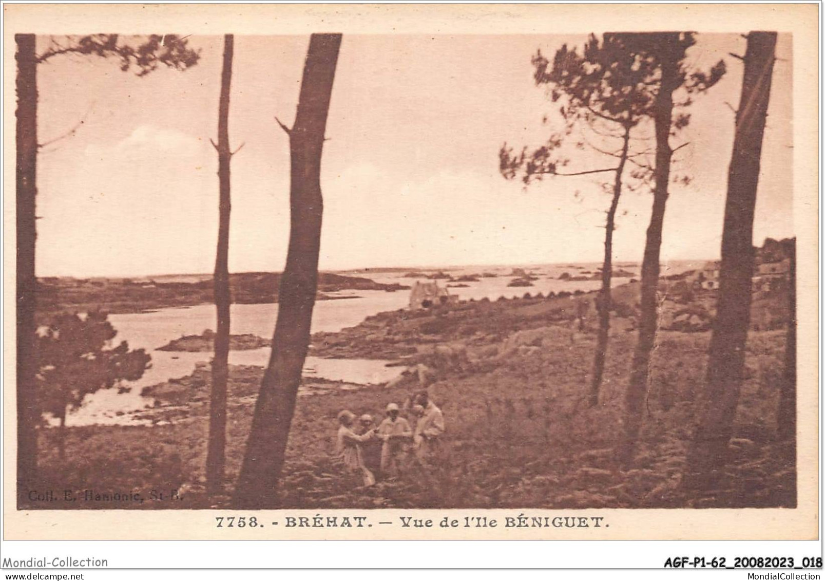 AGFP1-22-0010 - BREHAT - Vue De L'ile Béniguet  - Ile De Bréhat