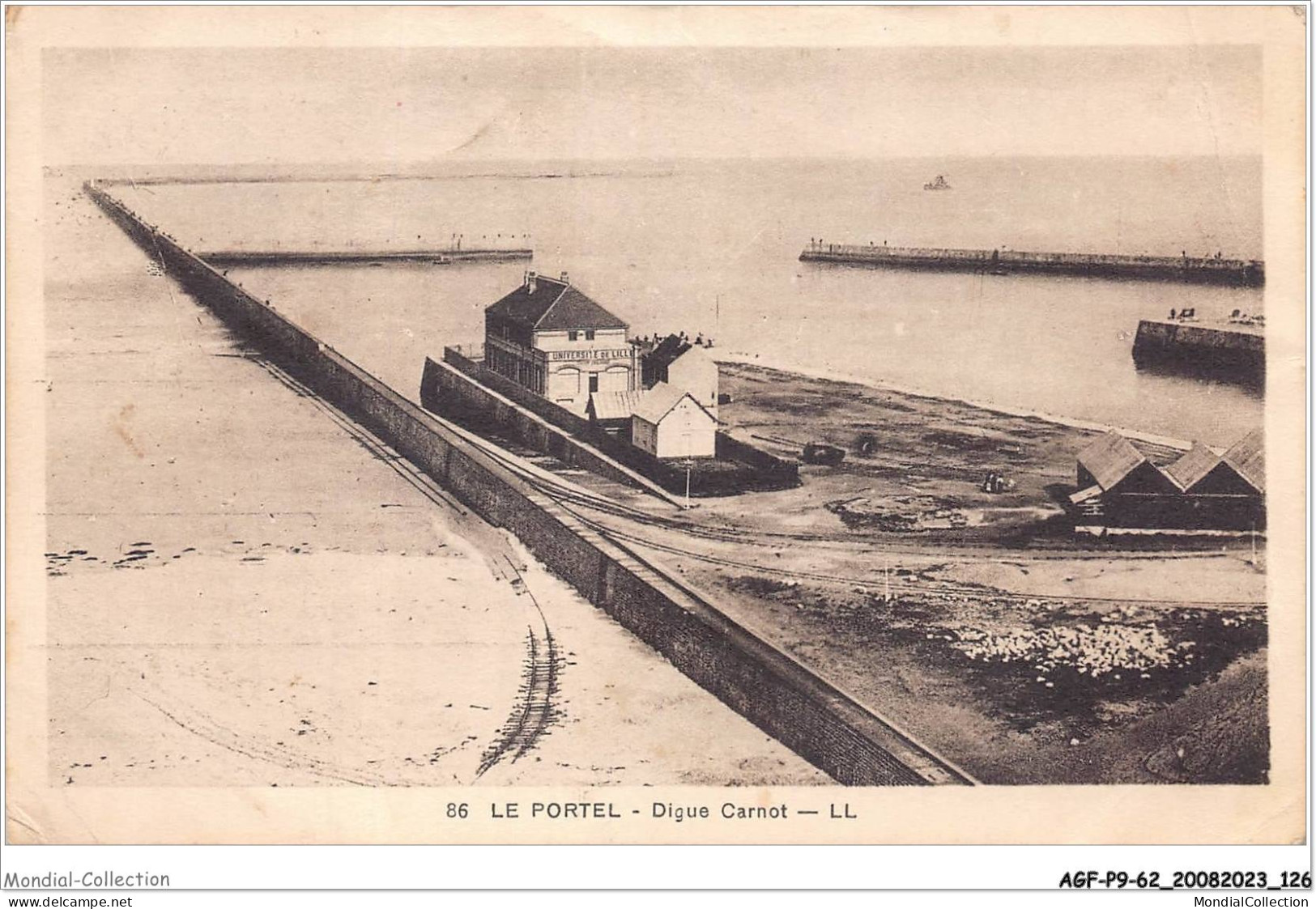 AGFP9-62-0821 - LE PORTEL - Digue Carnot  - Le Portel