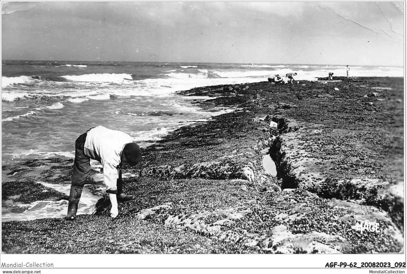 AGFP9-62-0804 - LE PORTEL - Cueillette Des Moules  - Le Portel