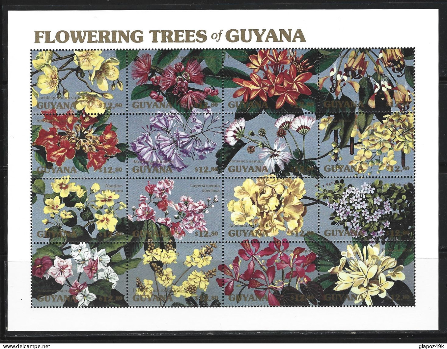 ● GUYANA 1990 ️️֍ FLOWERING TREES ֍ Fiori ● Fleurs ● DENTELLATI ● Lotto 2363 ● - Guyana (1966-...)