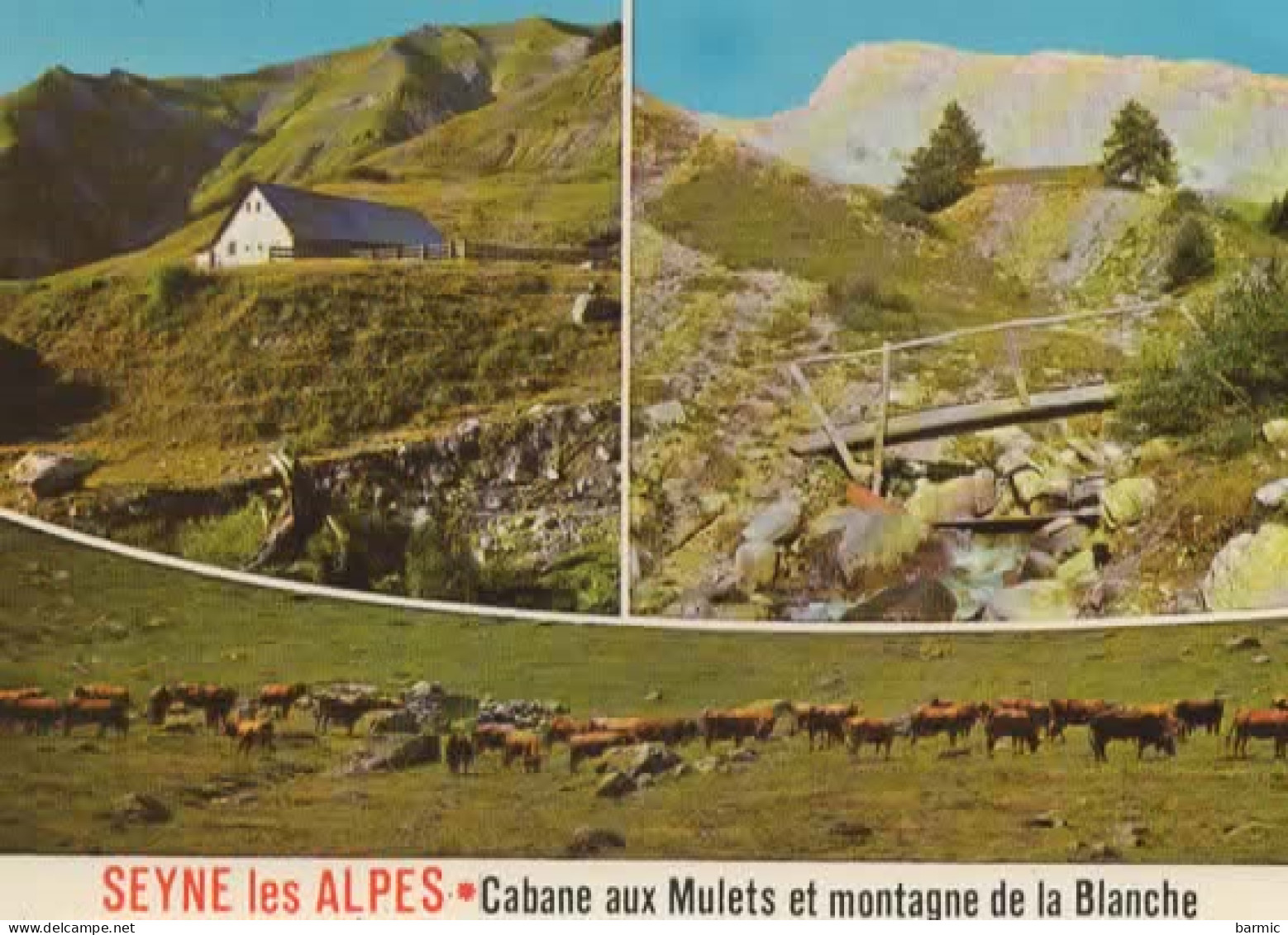 SEYNE LES ALPES ,CABANE AUX MULETS, MULTIVUE COULEUR   REF 16128 - Digne