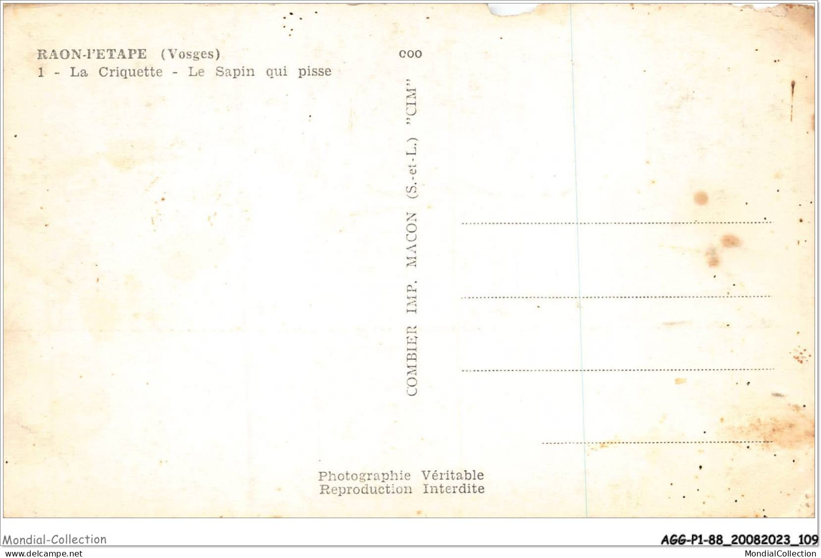 AGGP1-88-0055 - RAON-L'ETAPE - La Criquette - Le Sapin Qui Pisse - Raon L'Etape