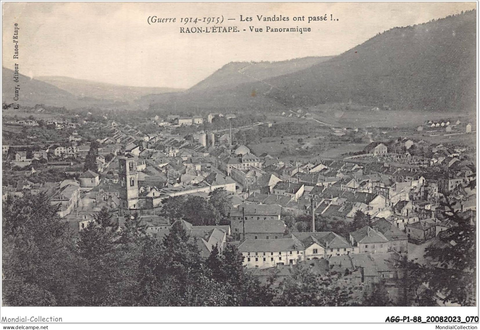 AGGP1-88-0036 - RAON-L'ETAPE - Les Vandales Ont Passé - Vue Panoramique - Raon L'Etape