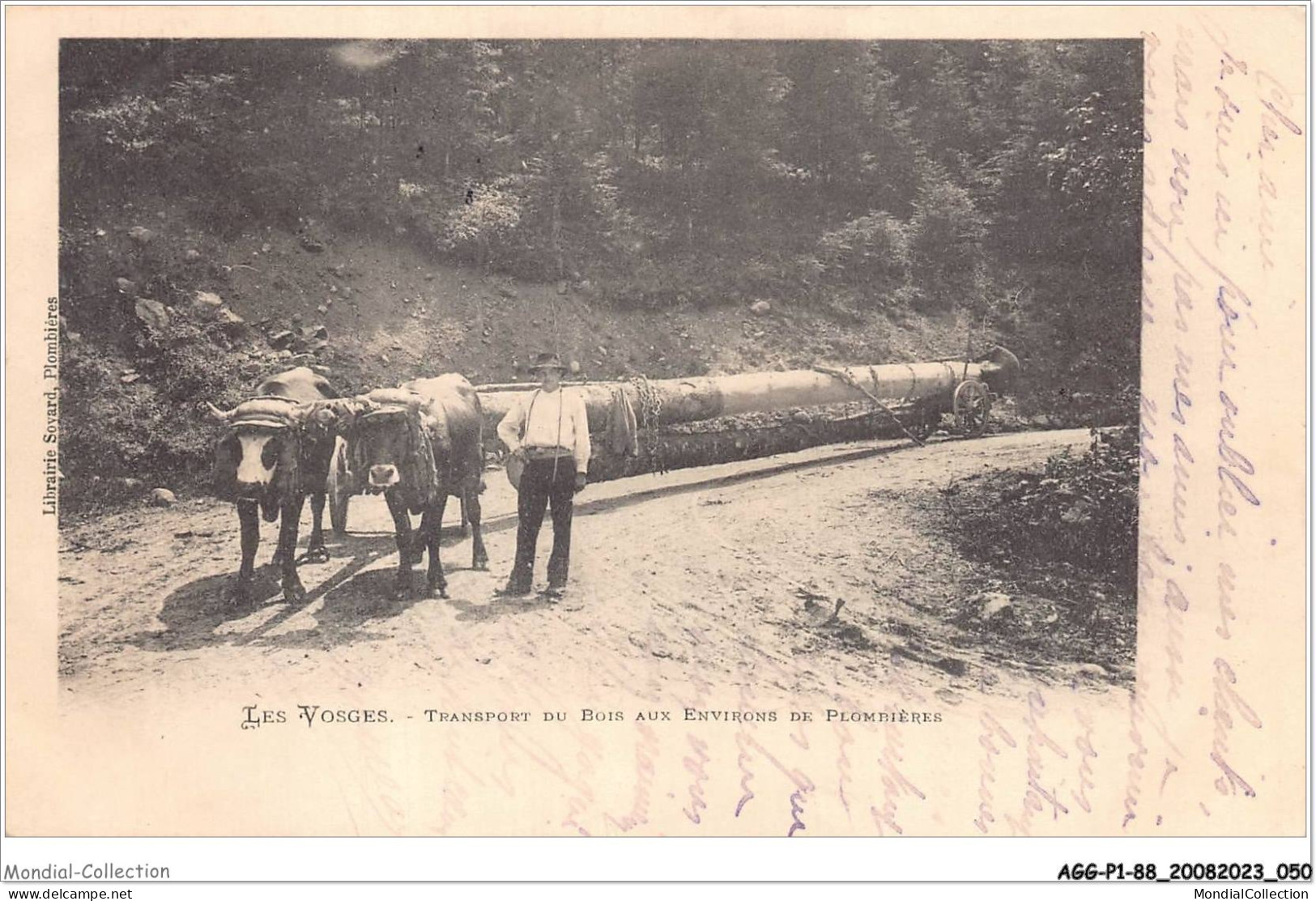 AGGP1-88-0026 - PLOMBIERES-LES-BAINS - Les Vosges - Transport Du Bois Aux Environs De Plombières - Plombieres Les Bains